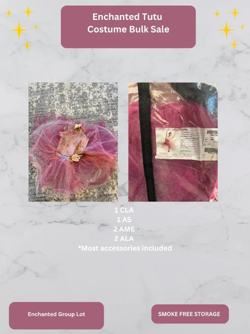 Dance Costume Lot: Enchanted Tutus: 6 Tutus Included
